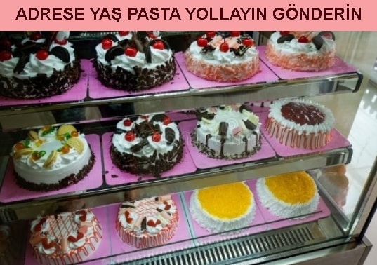 Şanlıurfa Adrese yaş pasta yolla gönder