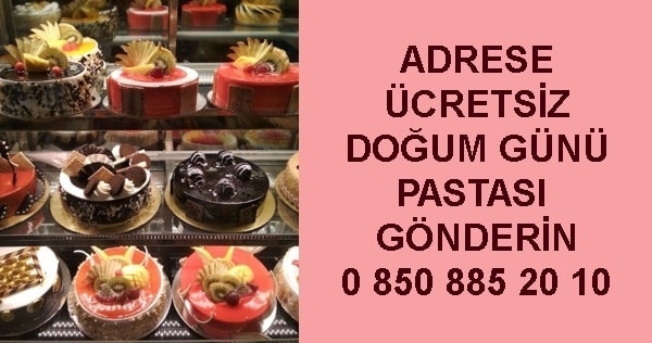 Şanlıurfa adrese teslim doğum günü yaş pastası