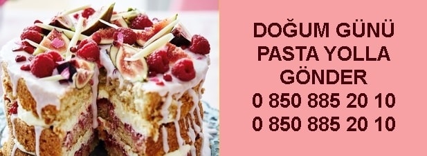 Şanlıurfa pasta satışı siparişi yolla gönder